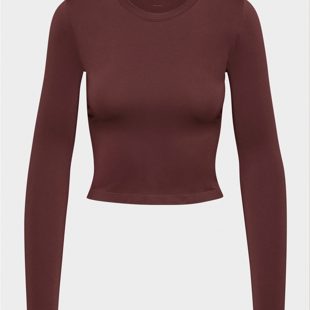 Aritzia Burgundy Long Sleeve Seamless top